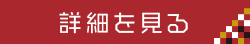 詳細をみる