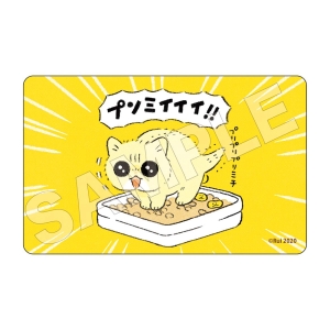 ちーちゃん 茶トラのやっちゃんとちーちゃん オンラインくじ