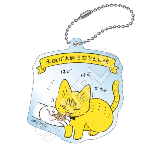 やっちゃんD 茶トラのやっちゃんとちーちゃん オンラインくじ