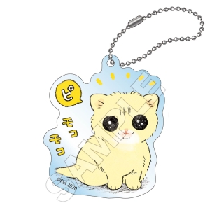 ちーちゃんB 茶トラのやっちゃんとちーちゃん オンラインくじ